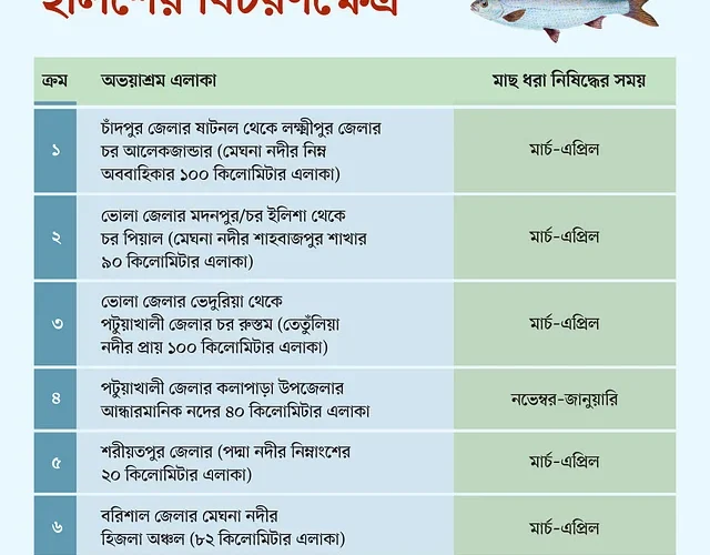 News from Nazihar It Solution