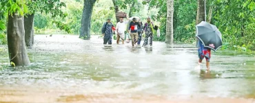 News from Nazihar It Solution