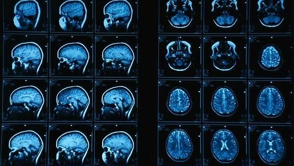 News from Nazihar It Solution