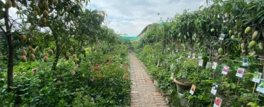 News from Nazihar It Solution