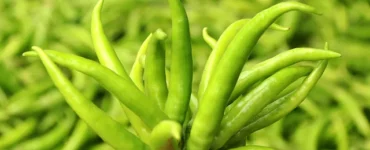 News from Nazihar It Solution