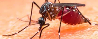 News from Nazihar It Solution