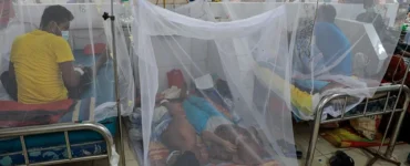 News from Nazihar It Solution