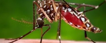 News from Nazihar It Solution