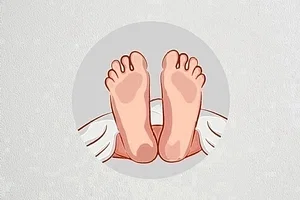 News from Nazihar It Solution