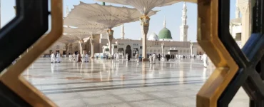 News from Nazihar It Solution