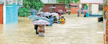 News from Nazihar It Solution