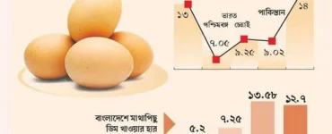 News from Nazihar It Solution