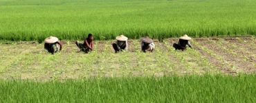 News from Nazihar It Solution