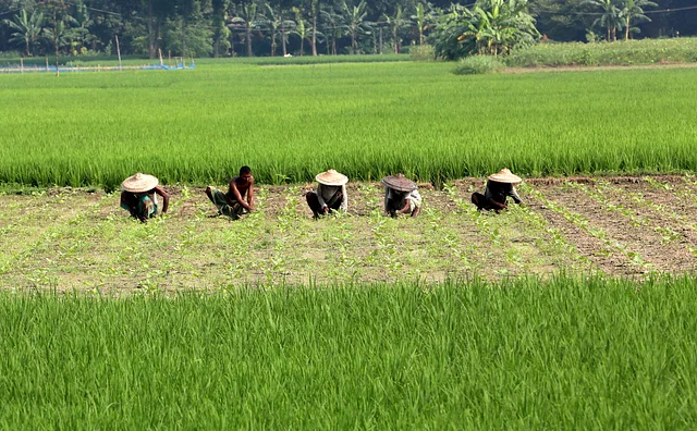 News from Nazihar It Solution