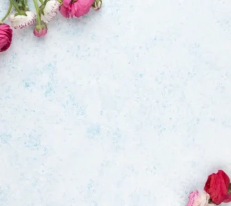 News from Nazihar It Solution