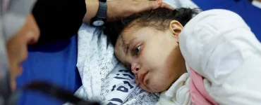 News from Nazihar It Solution